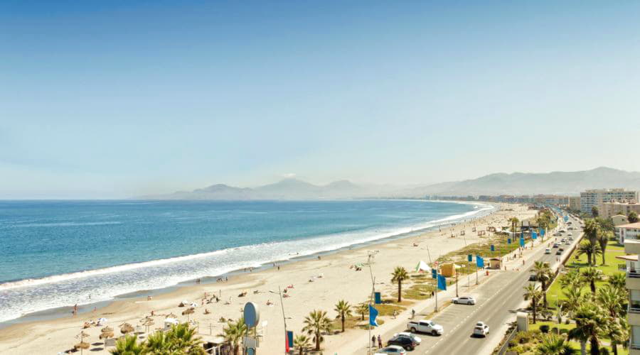 What are the most popular vehicle choices in La Serena?